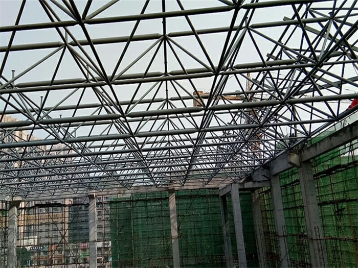 河西光谷第十一小学网架